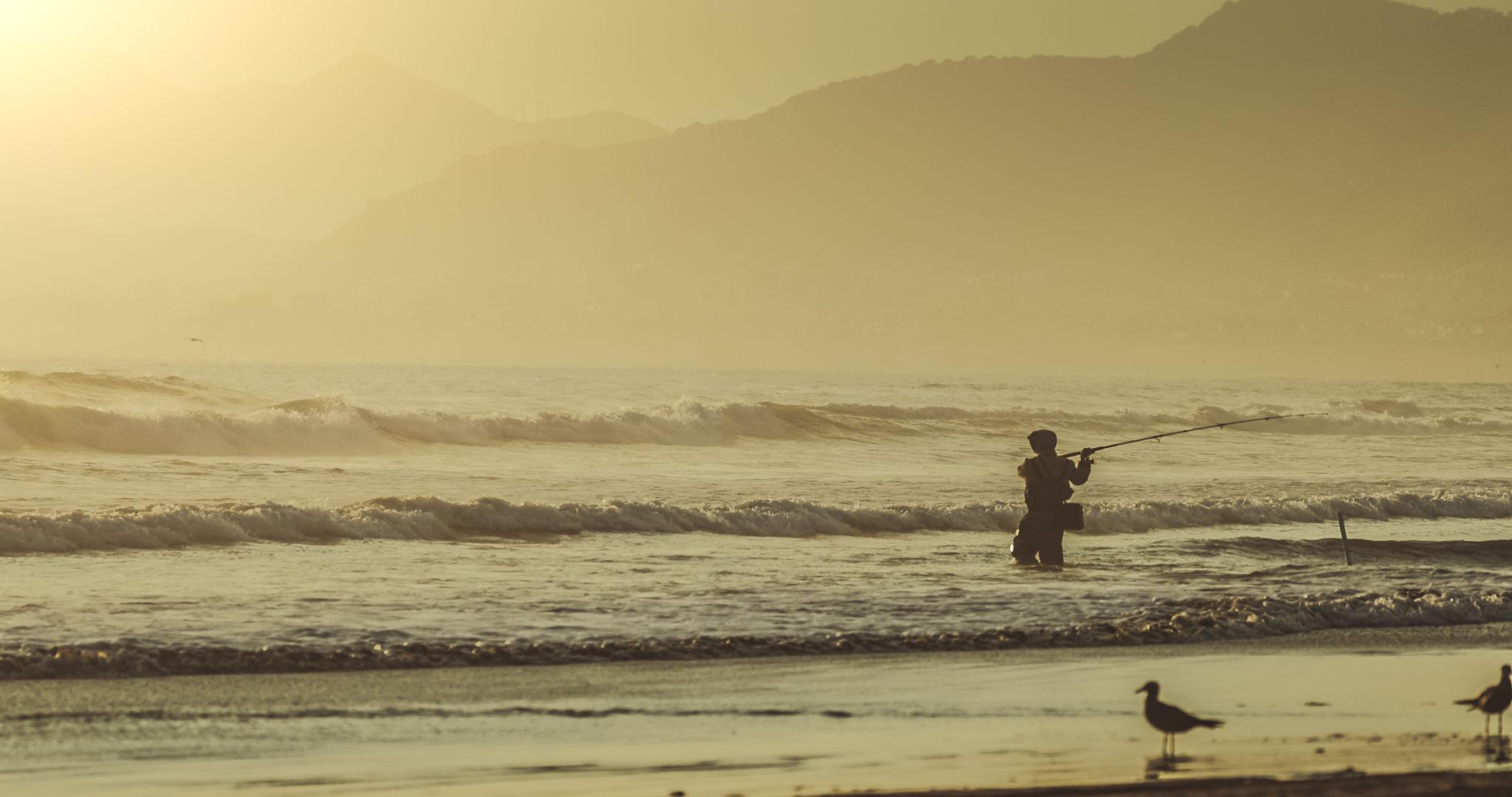 Surf Casting